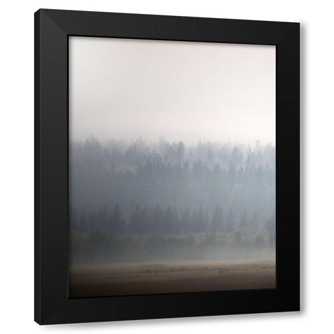 Morning Glow II Black Modern Wood Framed Art Print by Robinson, Carol