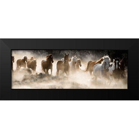 Kicking Up Dust Black Modern Wood Framed Art Print by Delimont, Danita