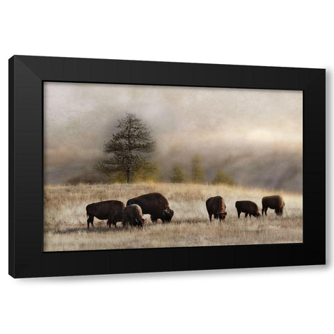 Ridge Grazing Black Modern Wood Framed Art Print by Delimont, Danita