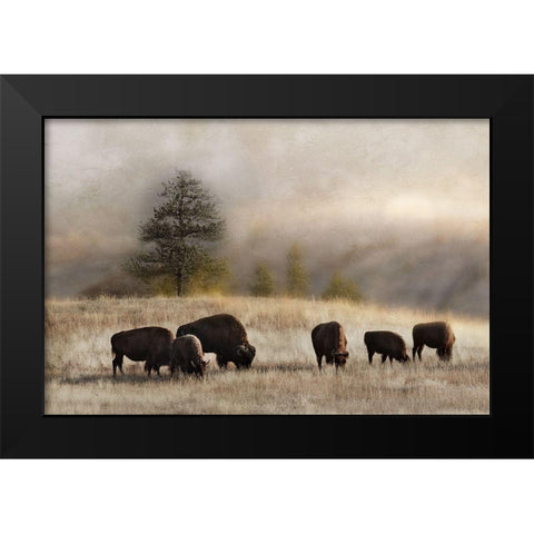 Ridge Grazing Black Modern Wood Framed Art Print by Delimont, Danita