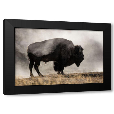 Geyser Basin Black Modern Wood Framed Art Print by Delimont, Danita