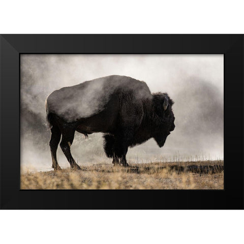 Geyser Basin Black Modern Wood Framed Art Print by Delimont, Danita