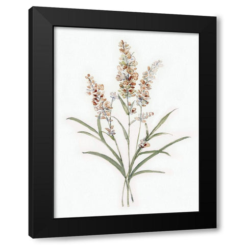 Dainty Botanical I Black Modern Wood Framed Art Print with Double Matting by Swatland, Sally