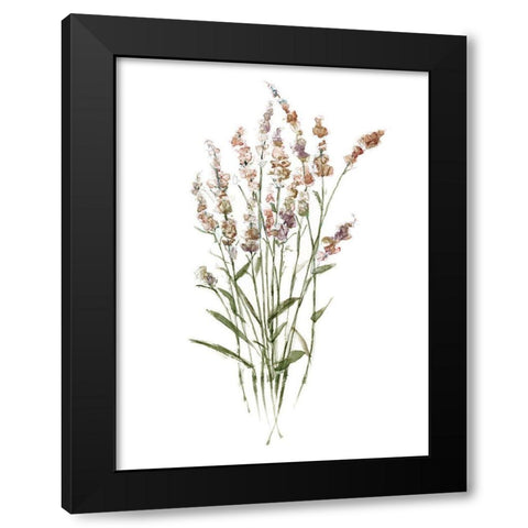 Dainty Botanical II Black Modern Wood Framed Art Print by Swatland, Sally