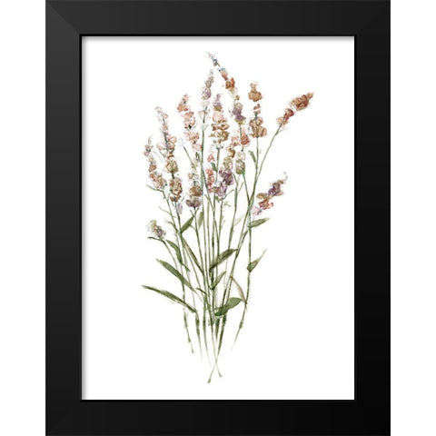 Dainty Botanical II Black Modern Wood Framed Art Print by Swatland, Sally