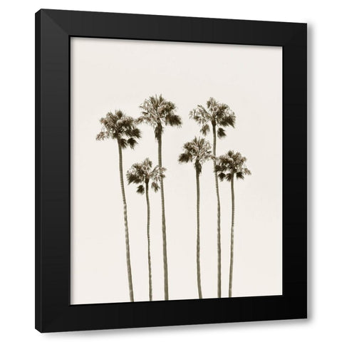 Palm Getaway Black Modern Wood Framed Art Print by Carpentieri, Natalie