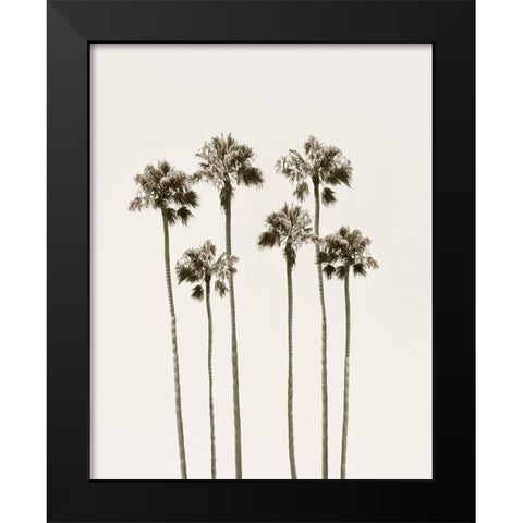 Palm Getaway Black Modern Wood Framed Art Print by Carpentieri, Natalie