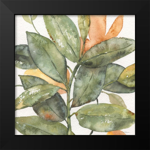 Plantlife I Black Modern Wood Framed Art Print by Robinson, Carol