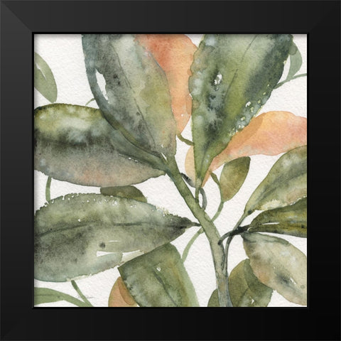 Plantlife II Black Modern Wood Framed Art Print by Robinson, Carol