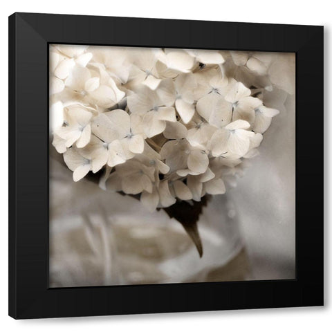 Sugar Hdrangea I Black Modern Wood Framed Art Print by Weisz, Irene