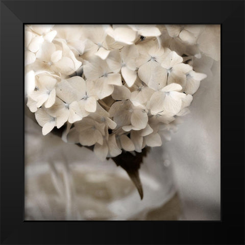 Sugar Hdrangea I Black Modern Wood Framed Art Print by Weisz, Irene
