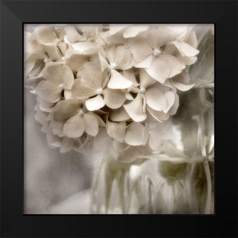 Sugar Hydrangea II Black Modern Wood Framed Art Print by Weisz, Irene