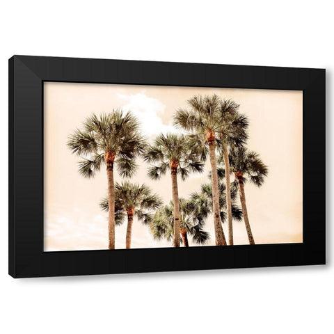 Blushing Palms Black Modern Wood Framed Art Print with Double Matting by Carpentieri, Natalie