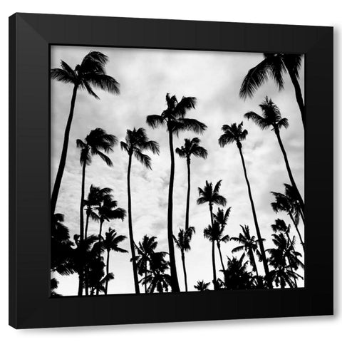 Palm Skies Black Modern Wood Framed Art Print by Carpentieri, Natalie