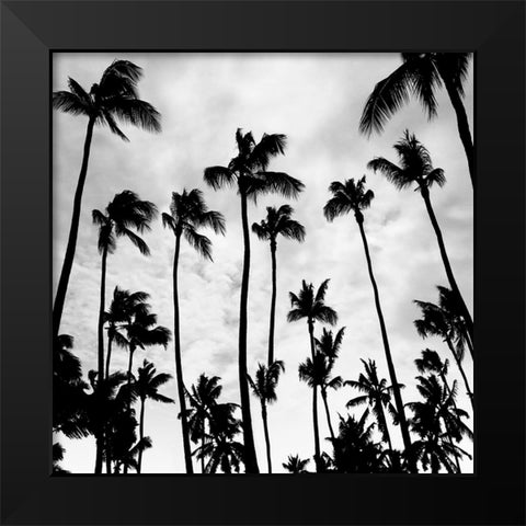 Palm Skies Black Modern Wood Framed Art Print by Carpentieri, Natalie