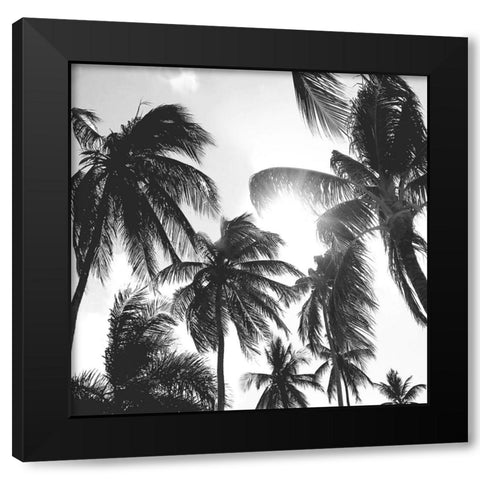 Caribbean Palms Black Modern Wood Framed Art Print by Carpentieri, Natalie