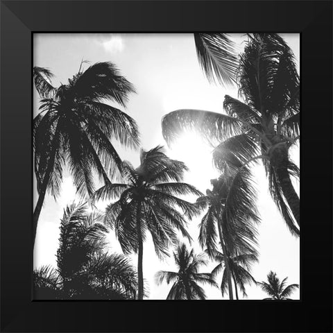 Caribbean Palms Black Modern Wood Framed Art Print by Carpentieri, Natalie