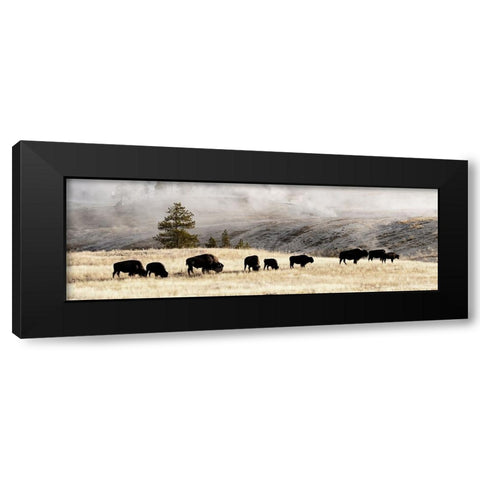 Heading Home Black Modern Wood Framed Art Print by Delimont, Danita