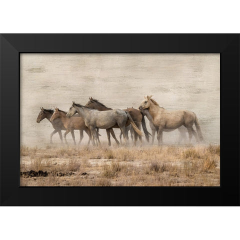 Roaming Free Black Modern Wood Framed Art Print by Delimont, Danita