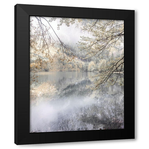 Misty Lake Black Modern Wood Framed Art Print with Double Matting by Weisz, Irene