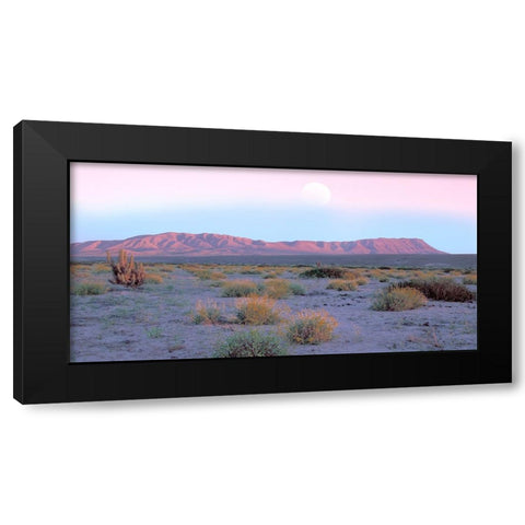 Vallenar Atacama Desert Black Modern Wood Framed Art Print with Double Matting by Delimont, Danita
