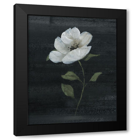 Country Botanical II Black Modern Wood Framed Art Print with Double Matting by Nan