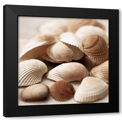 Beach Treasures I Black Modern Wood Framed Art Print by Carpentieri, Natalie
