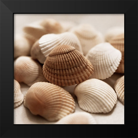 Beach Treasures II Black Modern Wood Framed Art Print by Carpentieri, Natalie