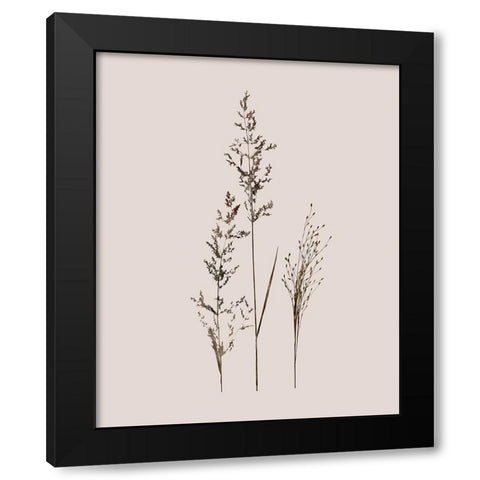 Delicate Stems I Black Modern Wood Framed Art Print by Robinson, Carol