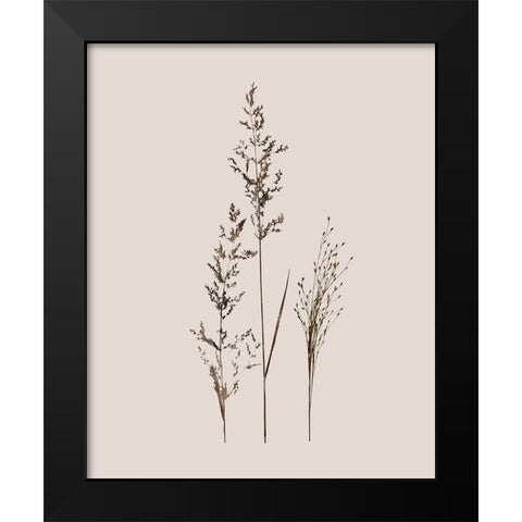 Delicate Stems I Black Modern Wood Framed Art Print by Robinson, Carol