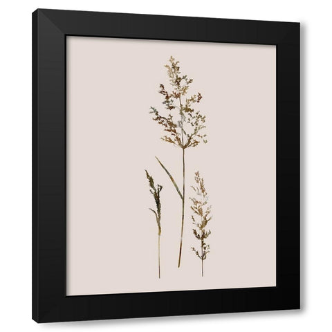 Delicate Stems II Black Modern Wood Framed Art Print with Double Matting by Robinson, Carol