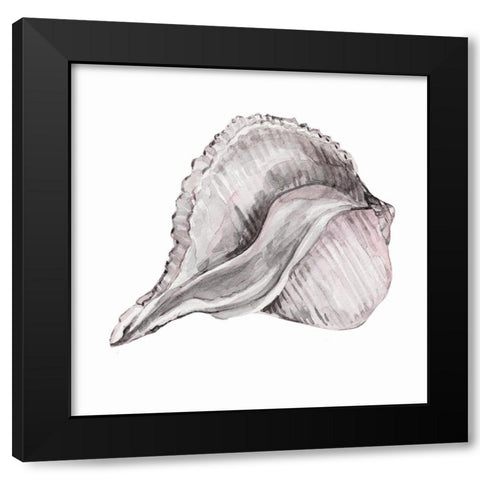 Blush Shell II Black Modern Wood Framed Art Print by Robinson, Carol
