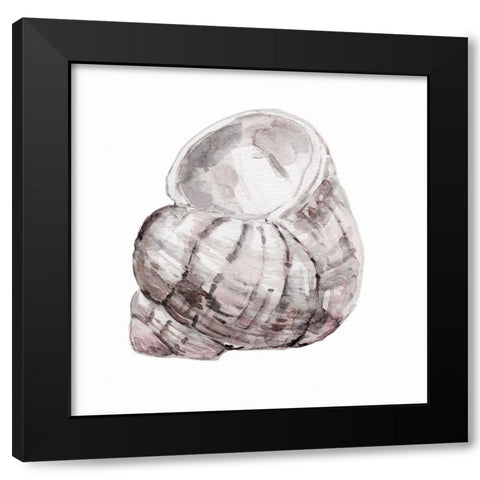 Blush Shell III Black Modern Wood Framed Art Print by Robinson, Carol