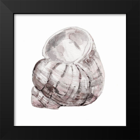 Blush Shell III Black Modern Wood Framed Art Print by Robinson, Carol