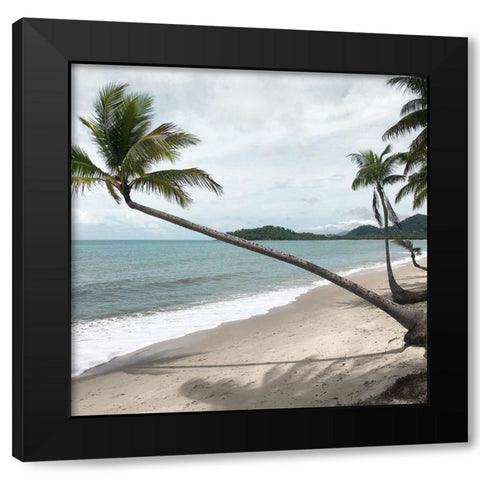 Leaning Palm Black Modern Wood Framed Art Print with Double Matting by Robinson, Carol
