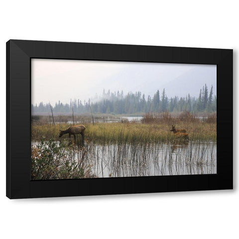 Out with the Twins Black Modern Wood Framed Art Print with Double Matting by Robinson, Carol