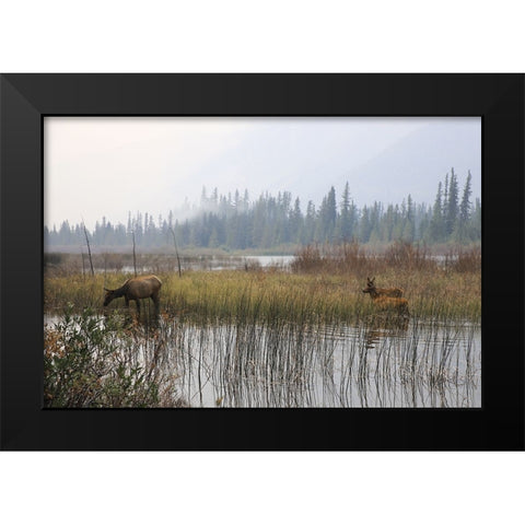 Out with the Twins Black Modern Wood Framed Art Print by Robinson, Carol