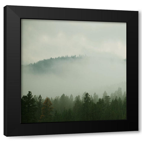 Verdant Country I Black Modern Wood Framed Art Print with Double Matting by Robinson, Carol