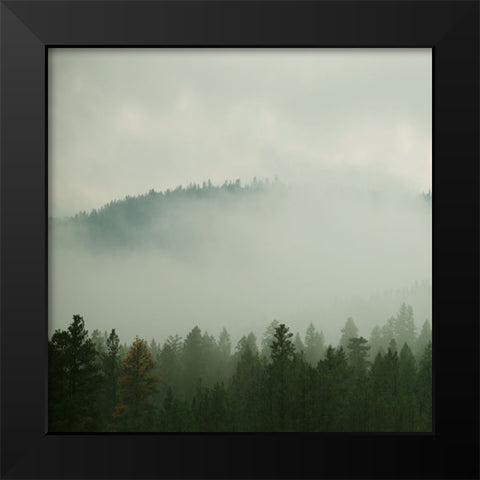 Verdant Country I Black Modern Wood Framed Art Print by Robinson, Carol