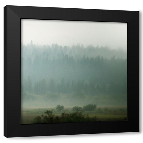 Lodge Country I Black Modern Wood Framed Art Print with Double Matting by Robinson, Carol