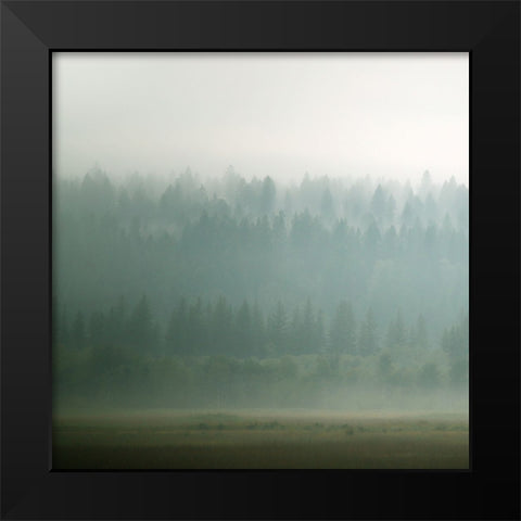 Lodge Country II Black Modern Wood Framed Art Print by Robinson, Carol