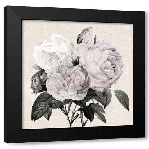 Botanical Arrangement I Black Modern Wood Framed Art Print with Double Matting by Donovan, Kelly