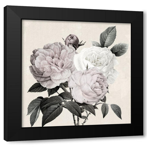 Botanical Arrangement II Black Modern Wood Framed Art Print with Double Matting by Donovan, Kelly