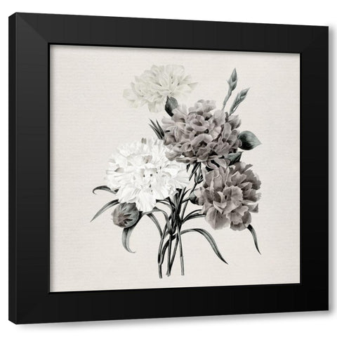 Netural Botanical Carnations Black Modern Wood Framed Art Print with Double Matting by Robinson, Carol