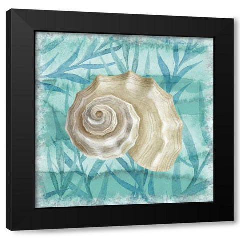 Shells Ashore I Black Modern Wood Framed Art Print with Double Matting by Knutsen, Conrad