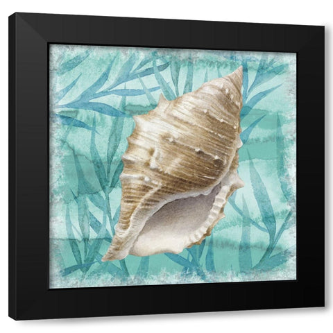 Shells Ashore II Black Modern Wood Framed Art Print with Double Matting by Knutsen, Conrad
