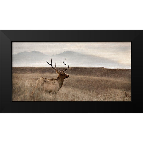 Now You See Me Black Modern Wood Framed Art Print by Delimont, Danita