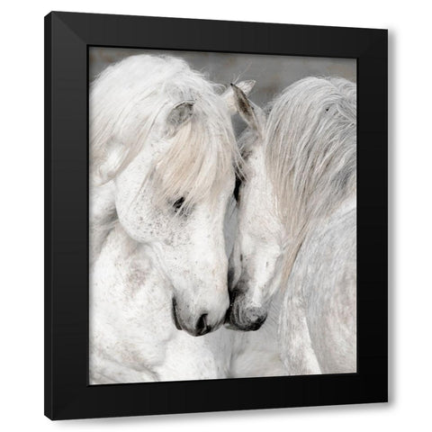 Affection II Black Modern Wood Framed Art Print with Double Matting by Delimont, Danita