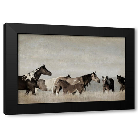 Ranging Free Black Modern Wood Framed Art Print with Double Matting by Delimont, Danita