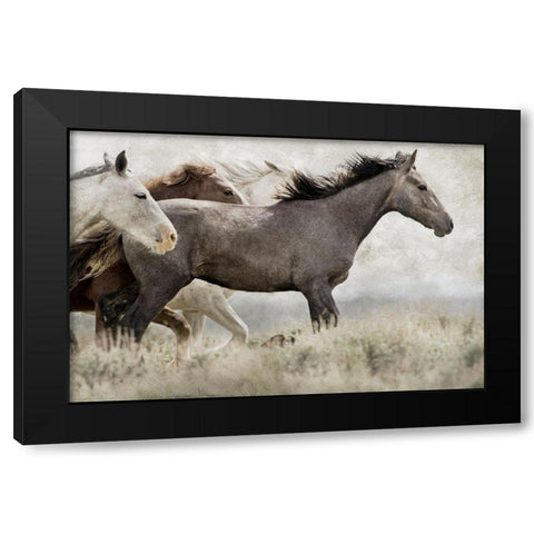 Thunder Ridge Distressed Black Modern Wood Framed Art Print with Double Matting by Delimont, Danita